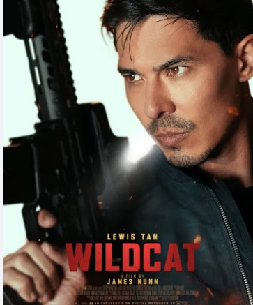 Wildcat Filmy4WEB 2026 Hindi ORG Dubbed